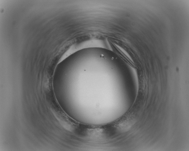 X0000063490266200601231419