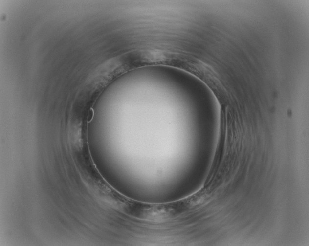 X0000063490267200601231419