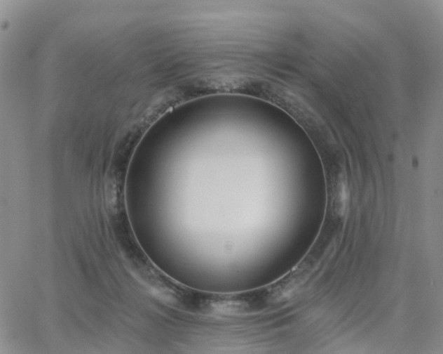 X0000063490268200601231419