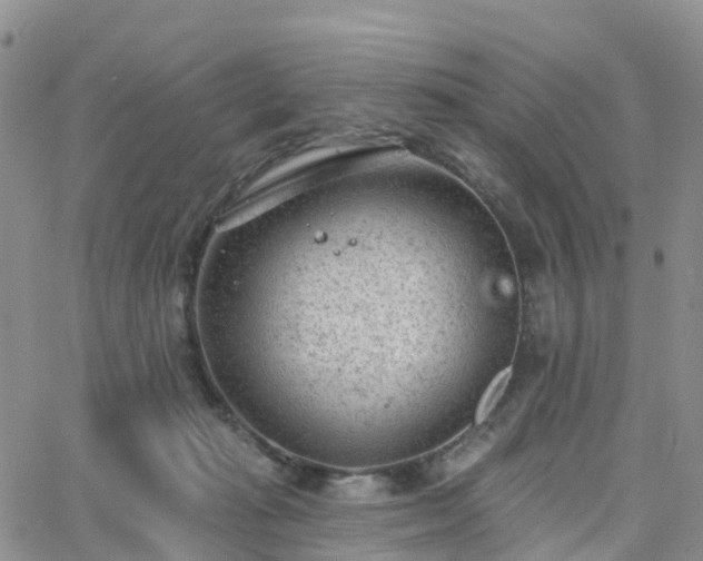 X0000063490269200601231419