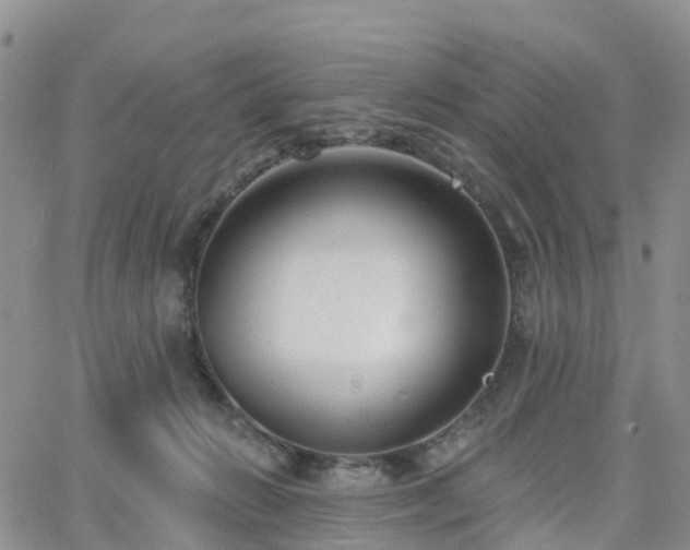 X0000063490270200601231419