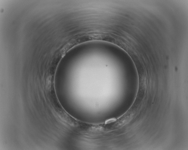 X0000063490271200601231419