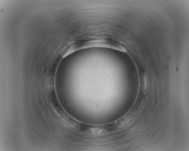 X0000063490272200601231419