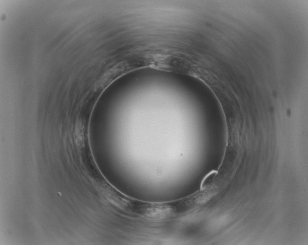 X0000063490274200601231419