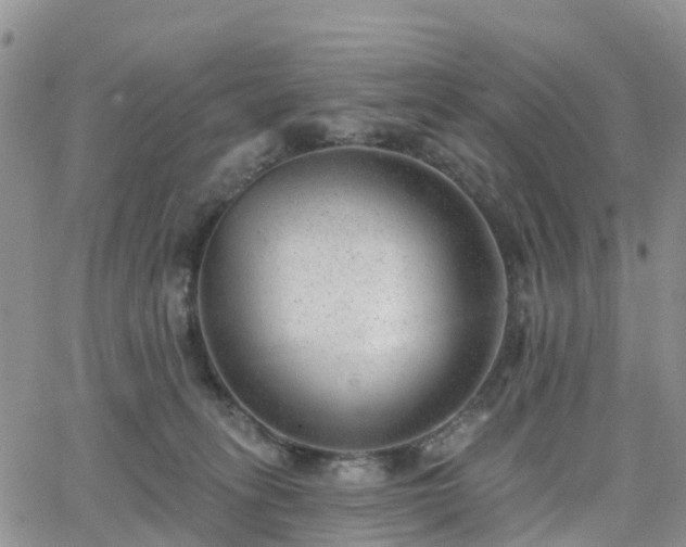 X0000063490275200601231419