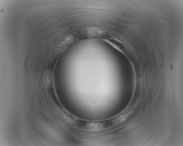 X0000063490277200601231419