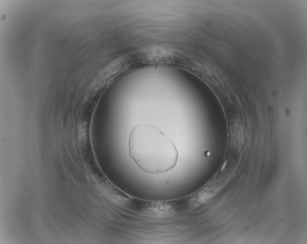 X0000063490278200601231419