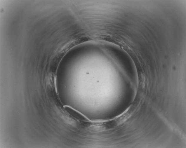 X0000063490280200601231420