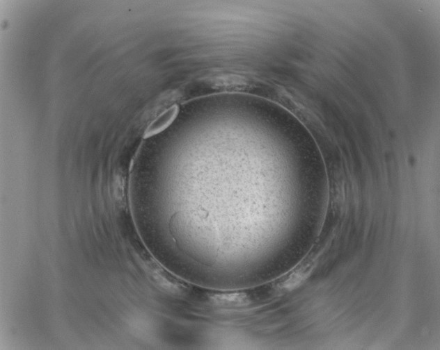 X0000063490281200601231420