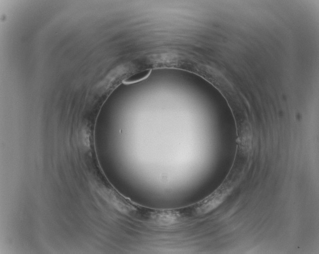 X0000063490282200601231420