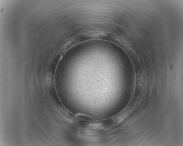 X0000063490283200601231420