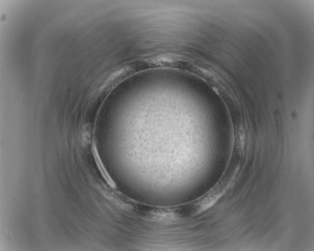 X0000063490284200601231420