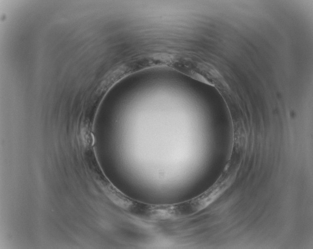 X0000063490285200601231420