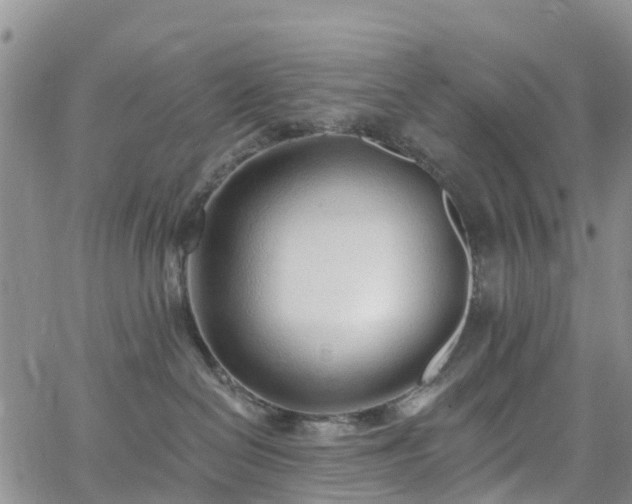 X0000063490286200601231420