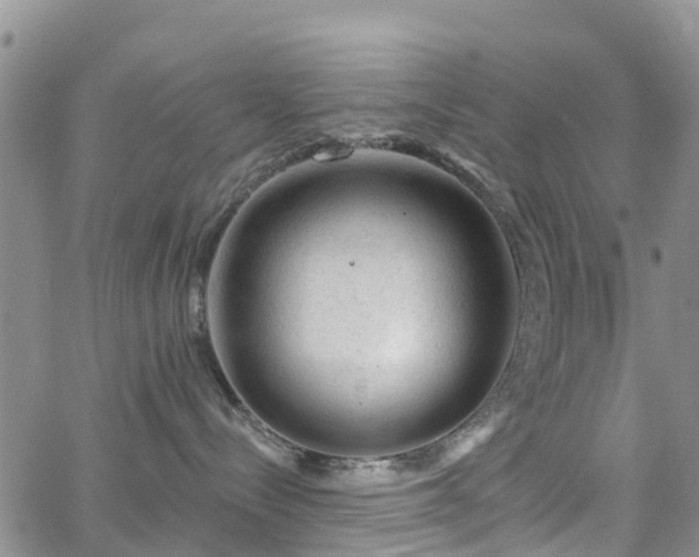 X0000063490288200601231420