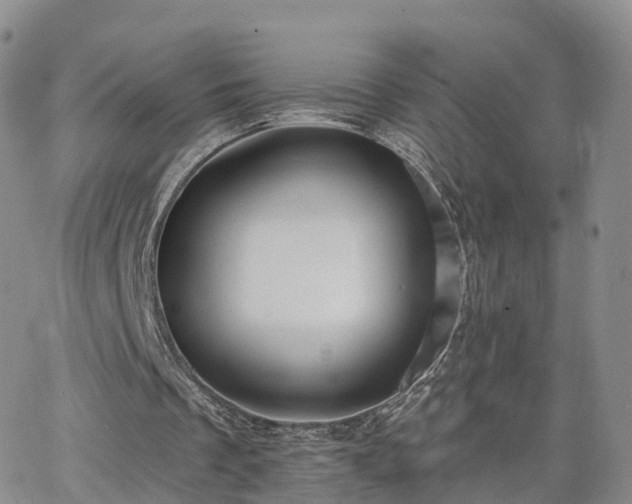 X0000063490289200601231419