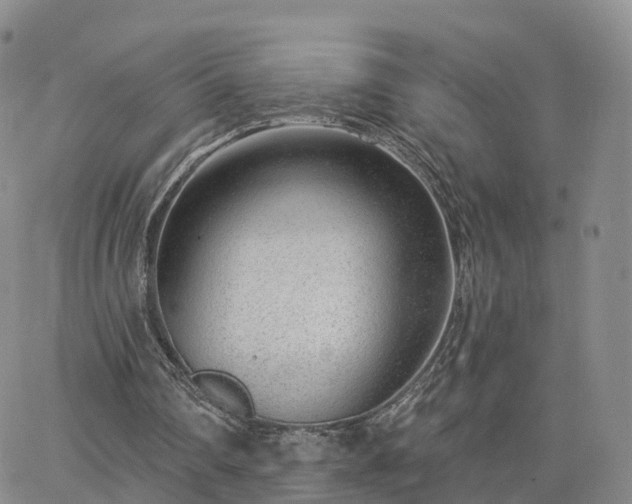 X0000063490290200601231419