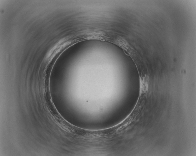 X0000063490291200601231419