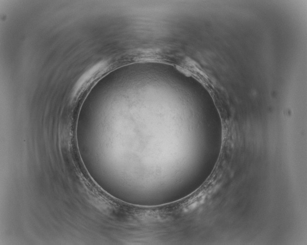 X0000063490293200601231419