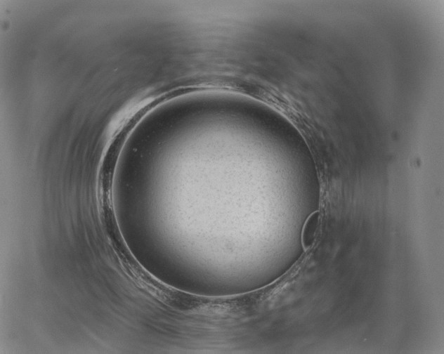 X0000063490294200601231419