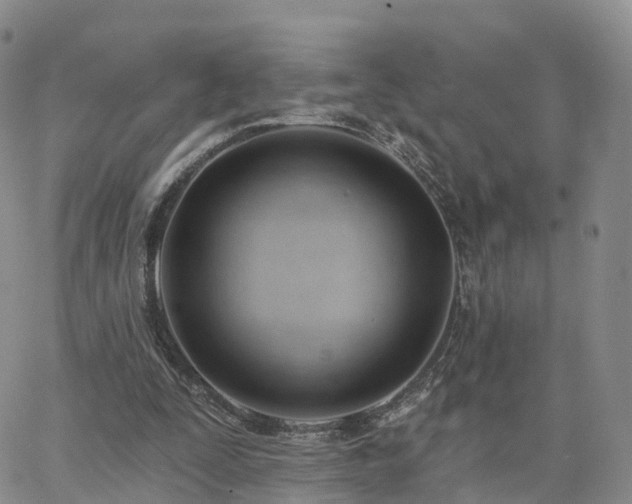 X0000063490295200601231419