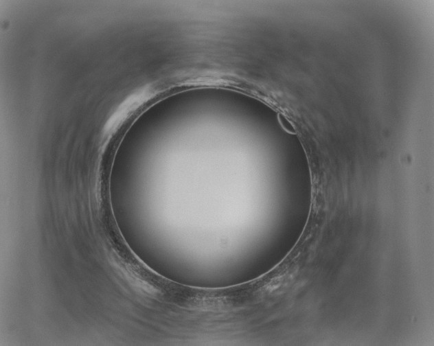 X0000063490296200601231419