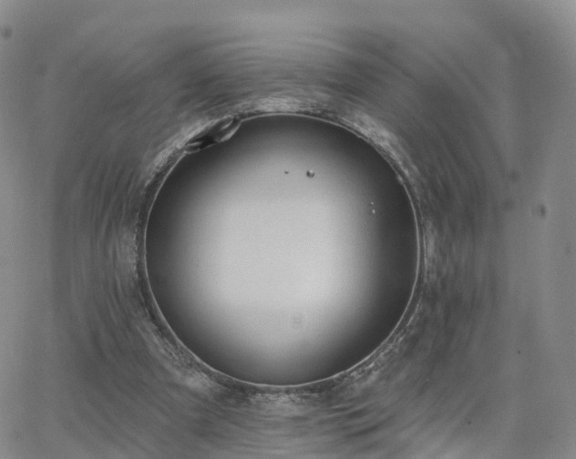 X0000063490297200601231419