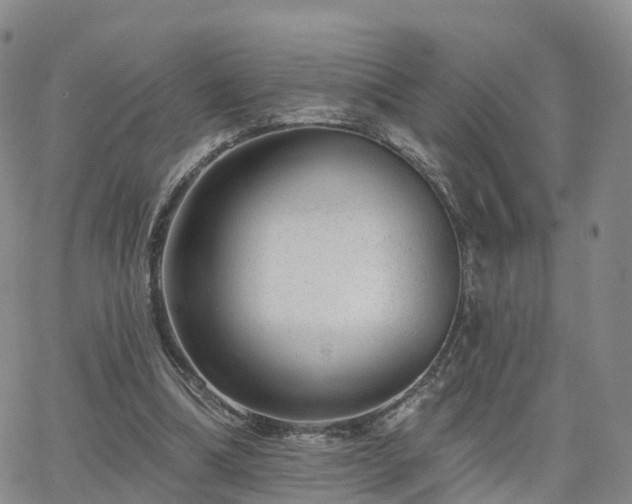 X0000063490298200601231419