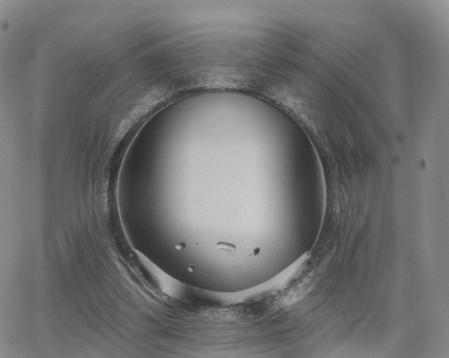 X0000063490299200601231419