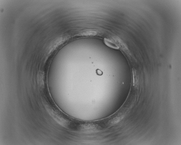 X0000063490300200601231419