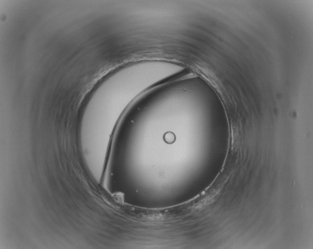 X0000063490301200601231419