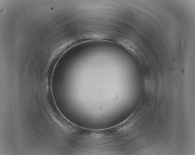 X0000063490302200601231419