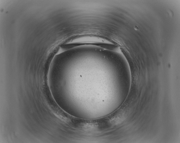 X0000063490303200601231419