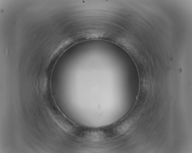 X0000063490304200601231419