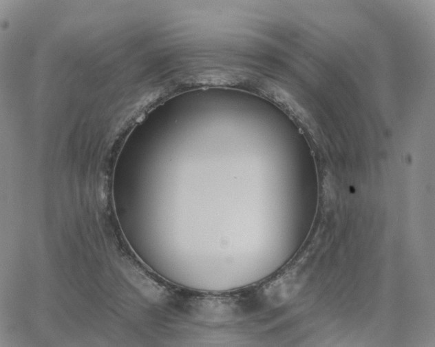 X0000063490305200601231419