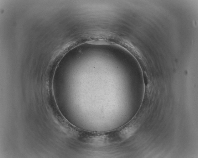 X0000063490306200601231419