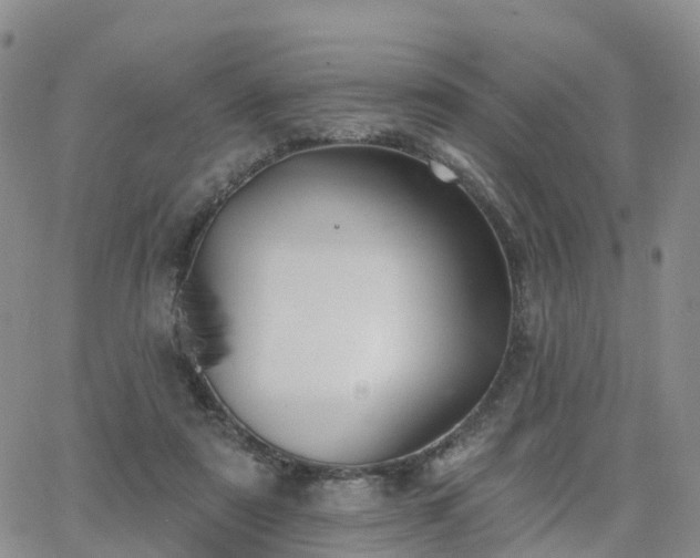 X0000063490307200601231419