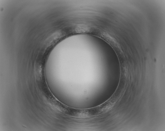 X0000063490308200601231419