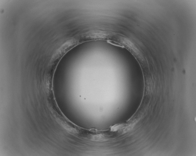 X0000063490309200601231419