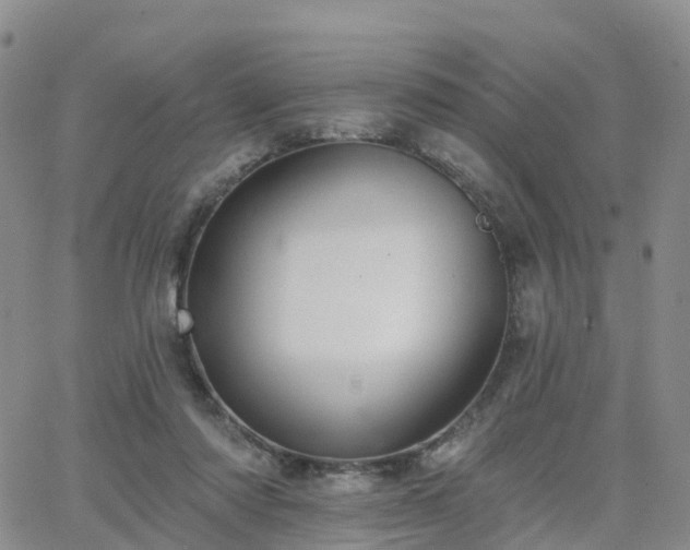 X0000063490310200601231419