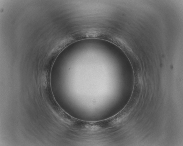 X0000063490311200601231419