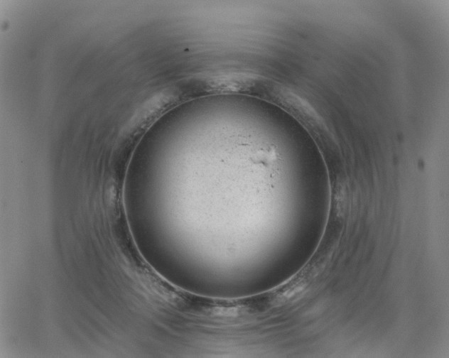 X0000063490314200601231418