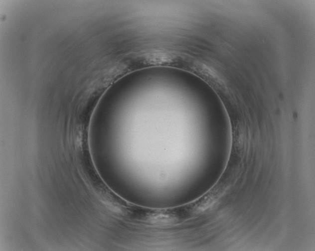 X0000063490315200601231418