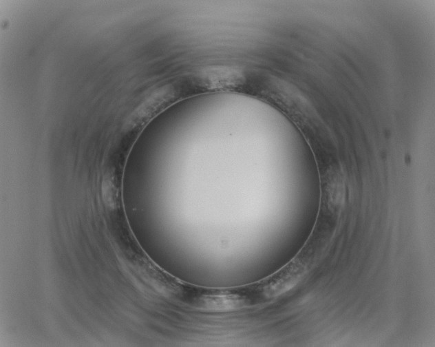 X0000063490316200601231418