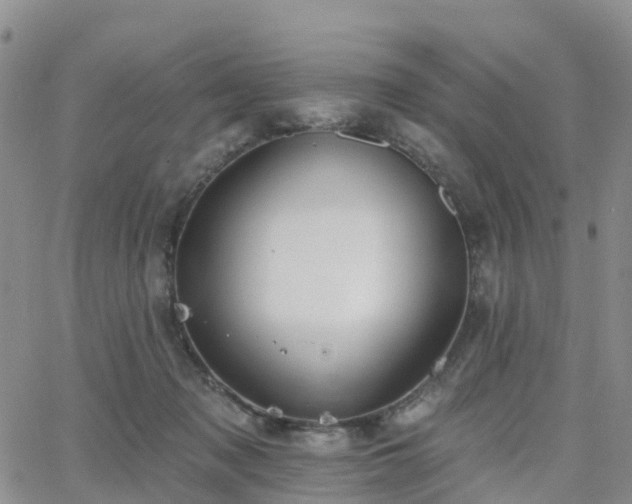 X0000063490317200601231418