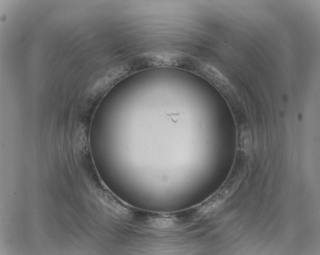 X0000063490318200601231418