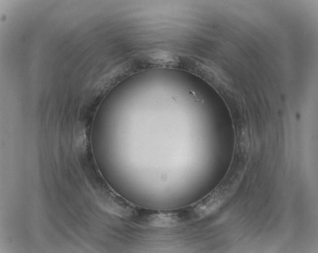 X0000063490320200601231418