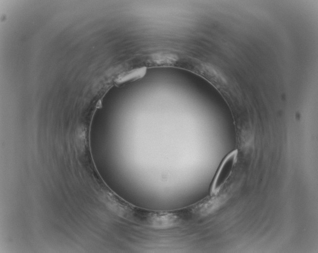 X0000063490321200601231418