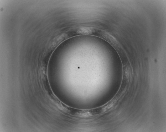 X0000063490322200601231418