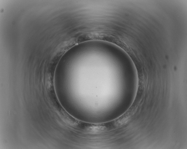 X0000063490323200601231418